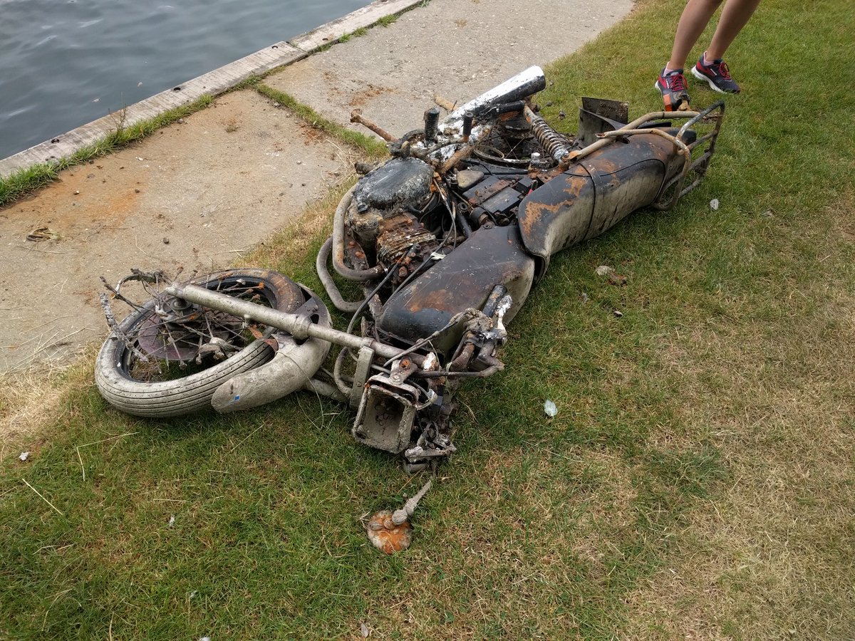 Look what appeared out of the river in #shiplake