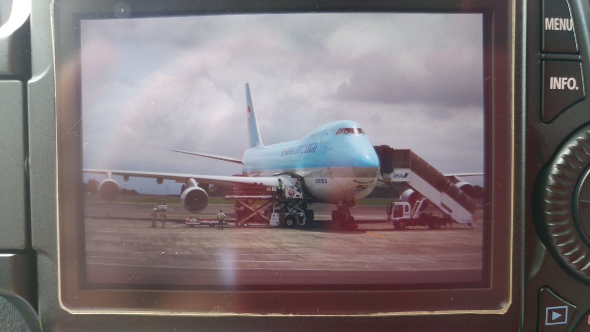 大韓航空機 Twitter Search