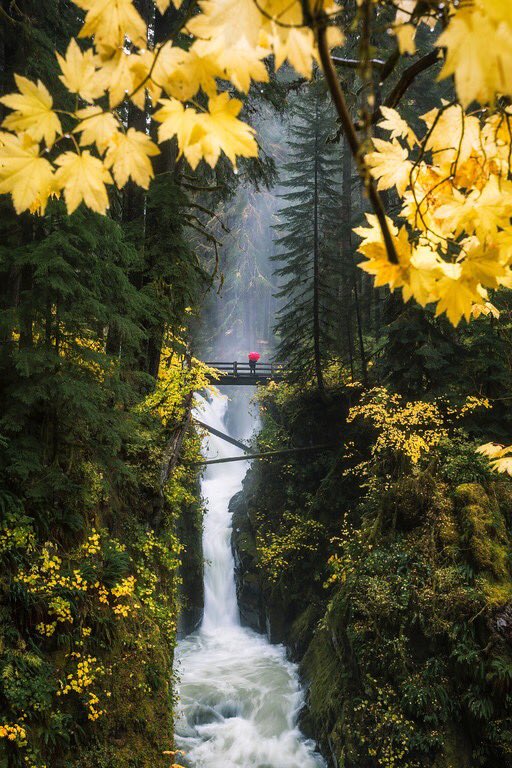 WorldTourisms's tweet photo. Sol Duc Water Falls Washington https://t.co/52QPdKwm9F