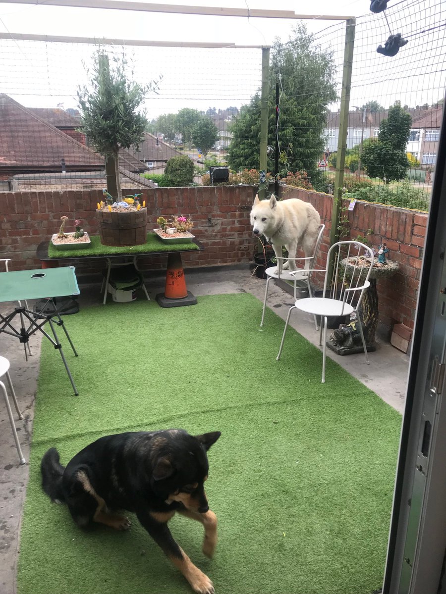 Good morning from SEUK