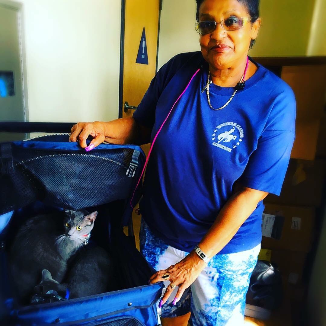 DtownDogRescue's tweet photo. Always grateful for donations for our Pet Resource Center! Today this cat owner who has arthritis will no longer have to carry her two cats. Our counselors provided her with a pet stroller to keep her kids totes together and safe #becauseweallneedhelpsometimes #petresourcecenter https://t.co/gZ6rRLwwIE