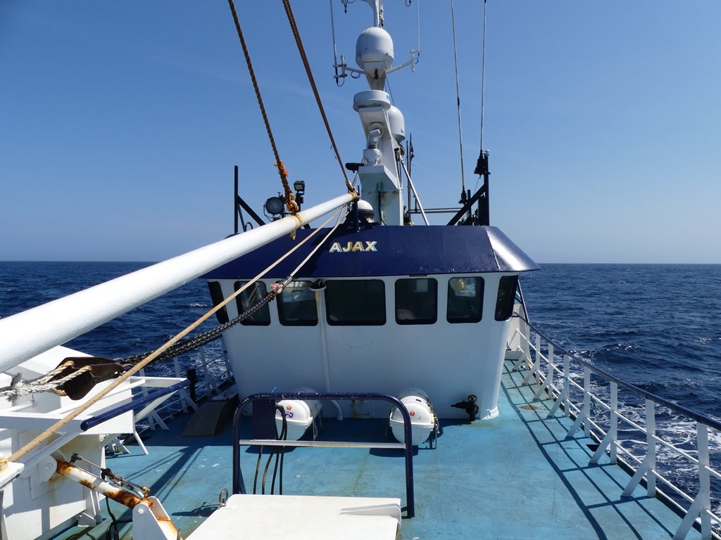 A Passion for Seafood tweet media