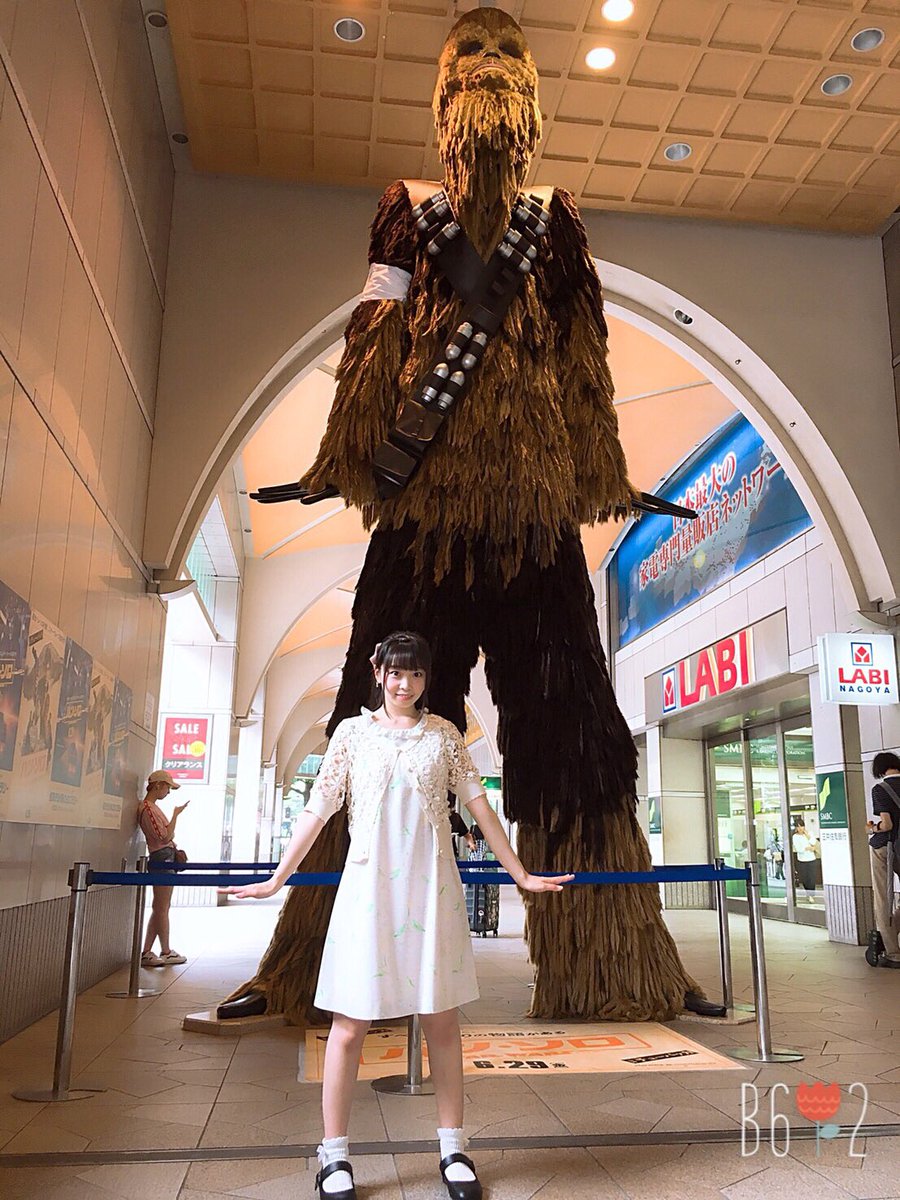 りりあ りりあにゃん Sur Twitter チューバッカかわいい チューバッカ スターウォーズ ハンソロ Chewbacca Starwars インスタ T Co 8n0e0qwwyz