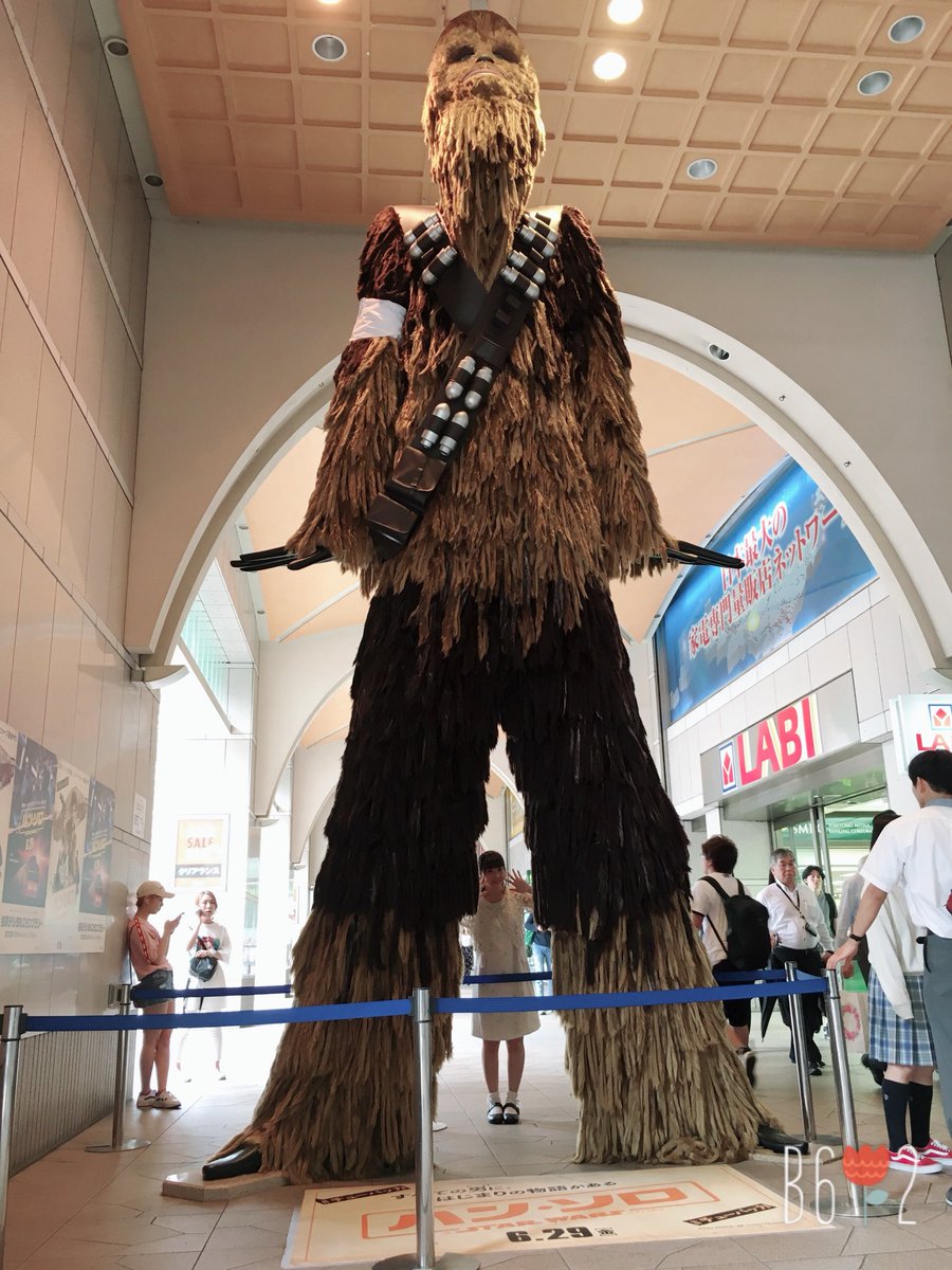 りりあ りりあにゃん チューバッカかわいい チューバッカ スターウォーズ ハンソロ Chewbacca Starwars インスタ T Co 8n0e0qwwyz