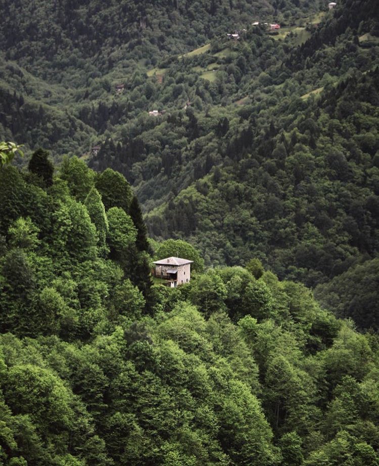 Bana şu hayatı verin 🙏🏻