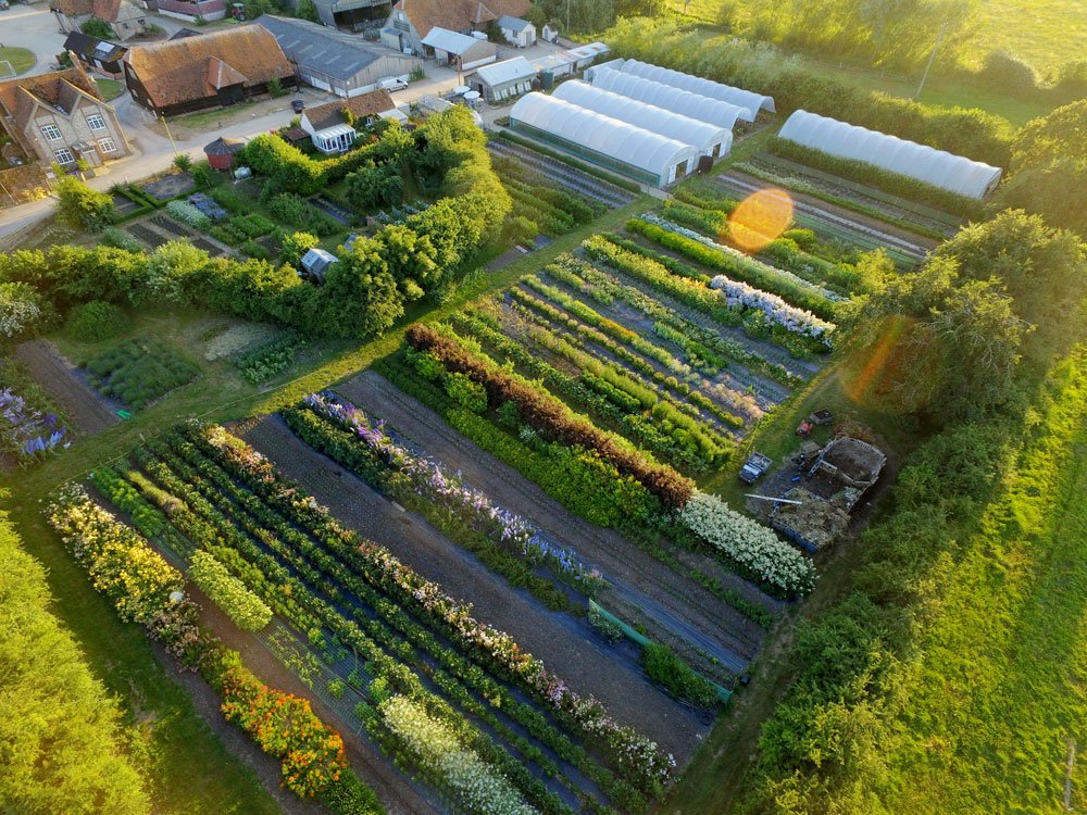 <a href="/NGSOpenGardens/">National Garden Scheme</a> 8th July Charity day for our #britishflowers, mega plant sales &amp; refreshments by <a href="/themillcux/">Eilidh & Andrew</a>