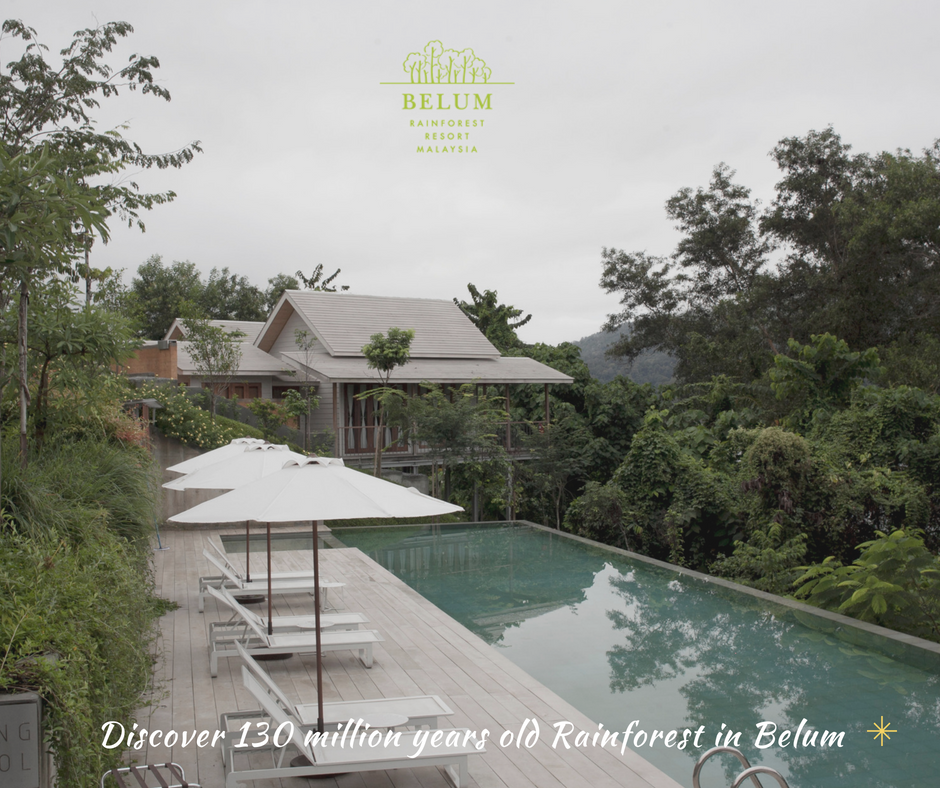 BelumRainforest's tweet photo. Stumped for plans? There's no better way to spend your weekend @BelumRainforest Resort and experience the soothing beauty and mystery of the  vast jungle, which has remained untouched for centuries.
 Learn more @ https://t.co/0lZc0xtmWz
#belumrainforestresort #royalbelum https://t.co/rcJOpFLqyG