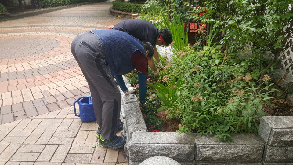 분당구 수내2동(동장 임병영)에서는 여름철 시든 초화류를 제거하고 새 꽃을 심었습니다^^ 언제나 아름다운 수내2동~~ #성남시