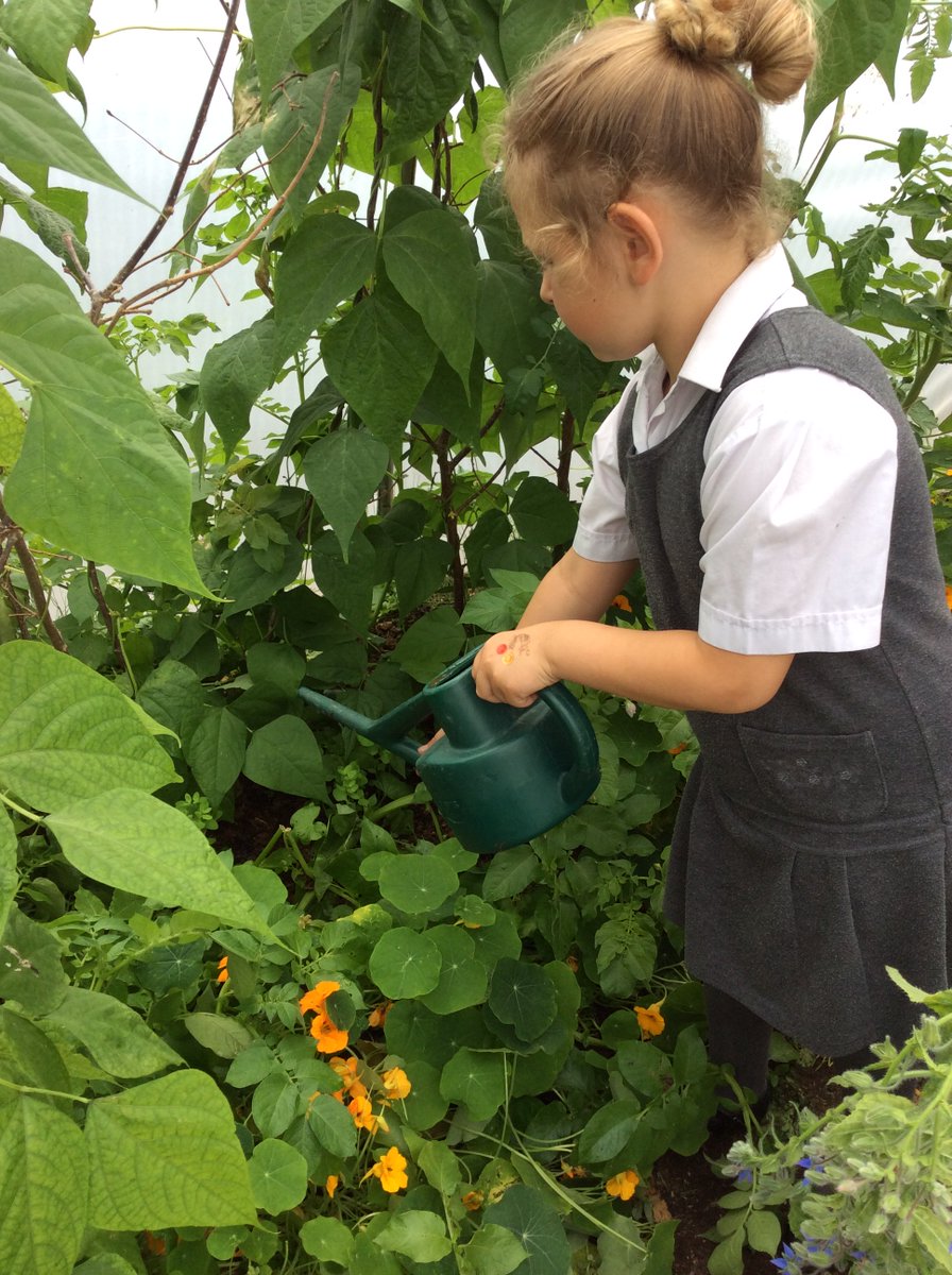 PE at St Mary’s tweet media