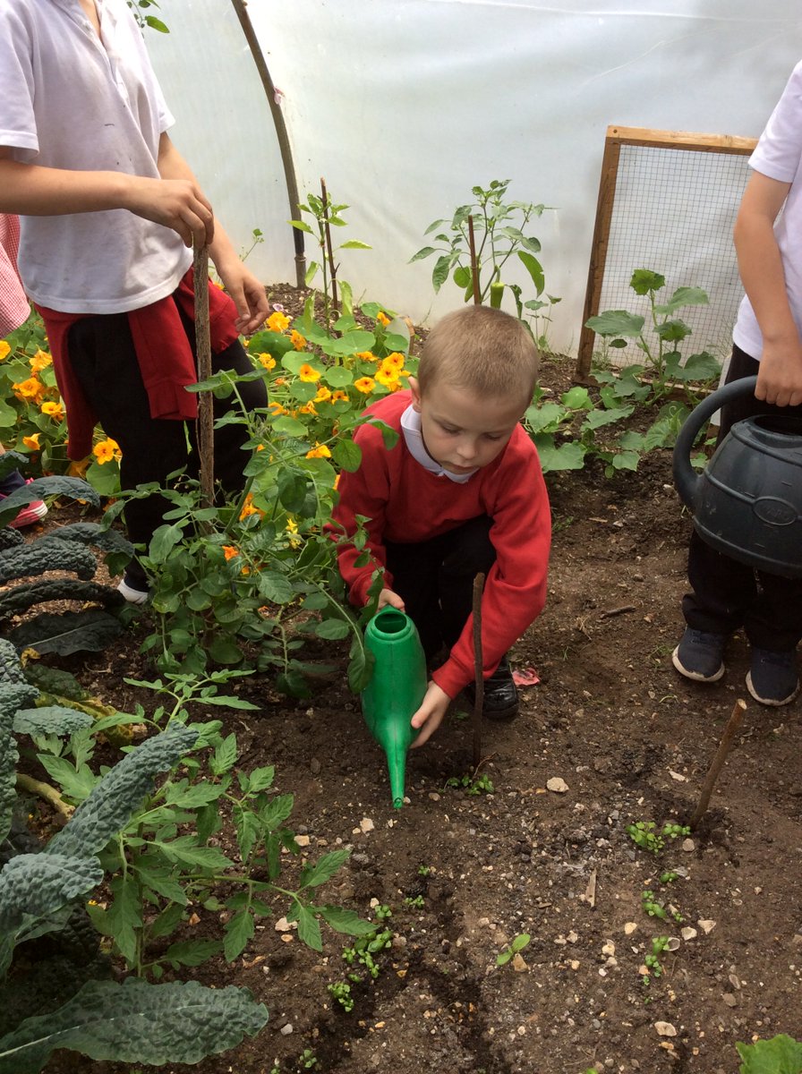 PE at St Mary’s tweet media