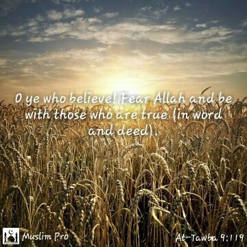 gemuhammad47's tweet image. get.muslimpro.com #muslimpro