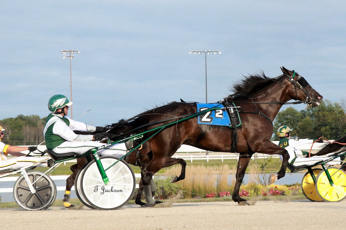 hoosiernations's tweet photo. GoodMorning on 6/26 #NaturalHerbie was back in the winner's circle after injury last year!! @Chris_wponies @rebelsart @JoannKi32885615 @jtlburn @kimberlymoier @vnssa926 @dolenski_john @bigticketbates @KathleenBaitzel @SadandSulk @HoP_Racing #VerlinYoder #PlayHP https://t.co/tMtHhB2xEe