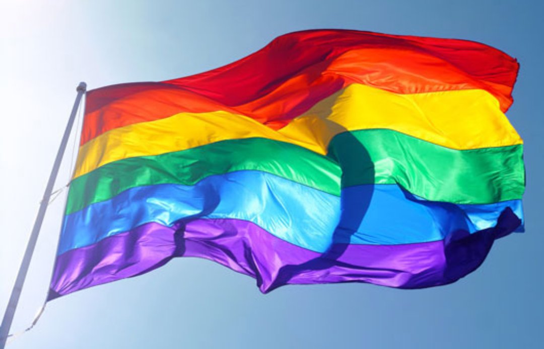 Neustm's tweet photo. Feliç dia de l' #orgull #28J #orgullgay #estimaresestimar #loveislove #elmasnougayfriendly @elmasnou_cat #igualtat https://t.co/lIWBalt6on