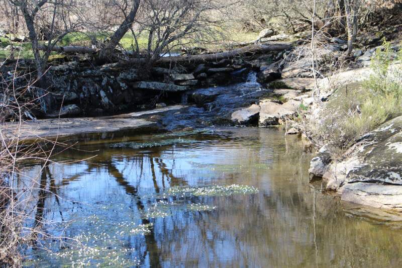 Desestresa pasear por la orilla del Río con estos calores.
#TerraDuero propone una #Ruta de #Senderismo para #TodosLosPublicos y agendar para el #FinDeSemana en #ArribesDelDuero. #Brandilanes, #RiveraDeBrandilanes.
#MolinoDeLosTejeros.
👇📣📣📣👇
terraduero.info/descubre/Brand…