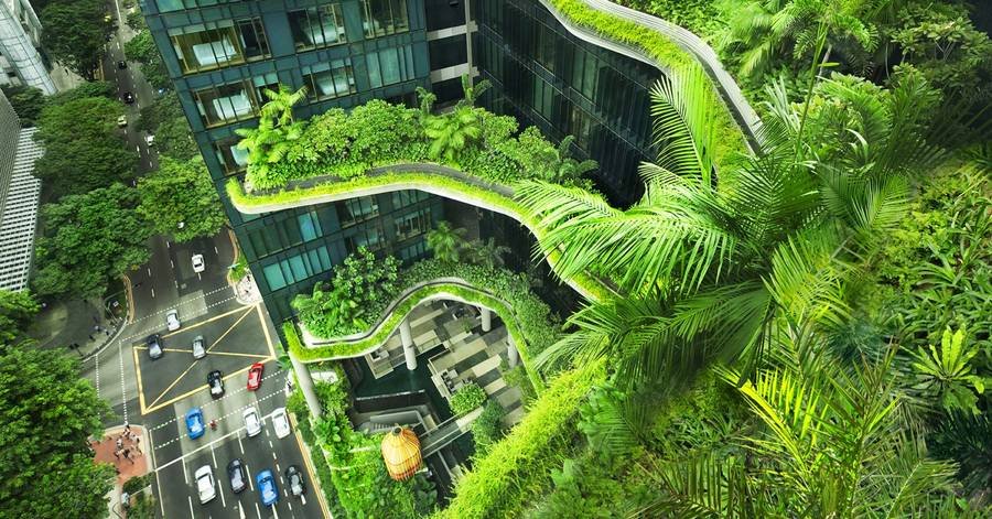 More buildings are going green. Literally! wsj.com/articles/more-… #biophilicdesign #greencities #greenbuildings