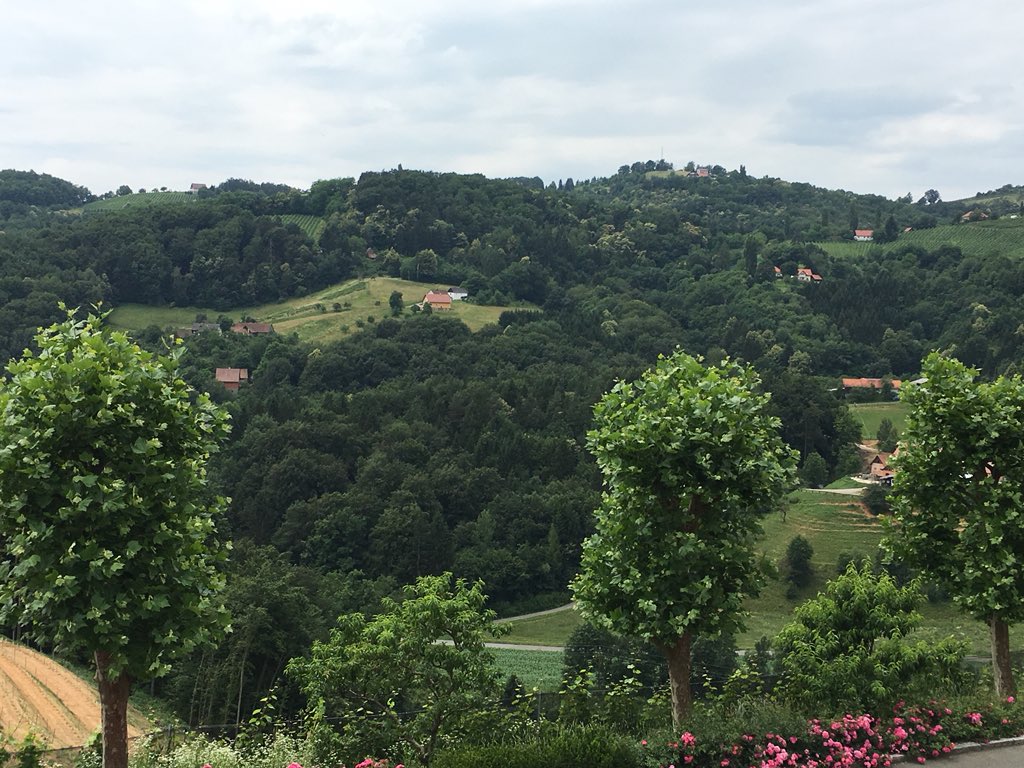 EmmaPeel_Knight's tweet photo. @KevinMcCarthyTV @Schwarzenegger @ReelBlend @JakesTakes @Sean_OConnell Greetings from #SouthStyria pls show Arnold the pictures from #Gamlitz. and #Kitzeck,he knows where that is.... 😎💚🇦🇹🍾🍸 https://t.co/yTJAhEmp8m