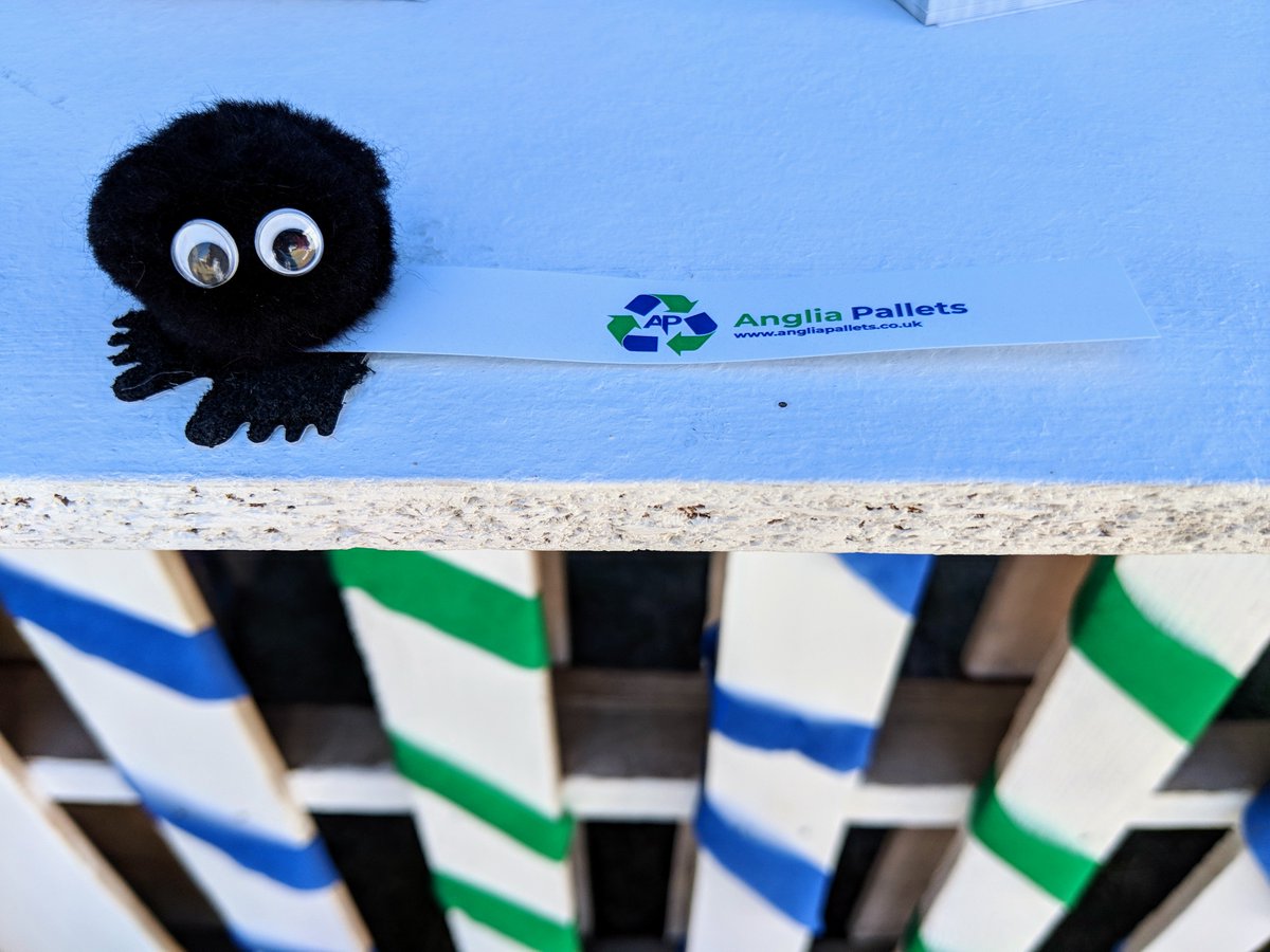 Who has seen 'Bob the cat' around the Royal Norfolk Show over the past two days?!