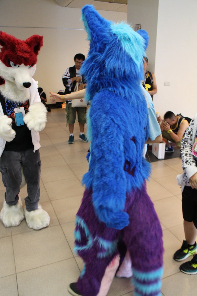 #Furrymosa2 @animalK_