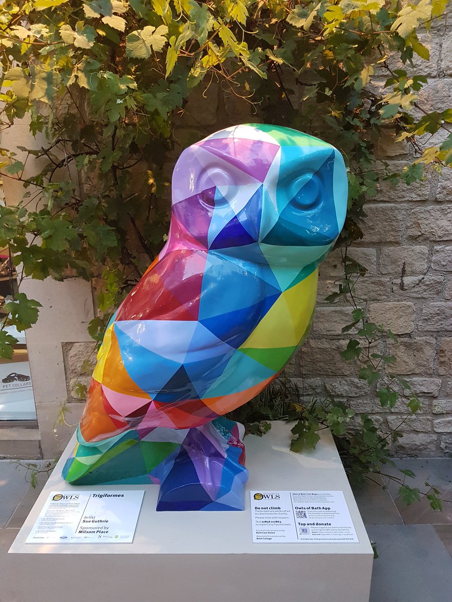 There is an owl trail in Bath! This is AMAZING! #bath #bathowltrail #owltrail #owlsofbath #minervasowlsofbath