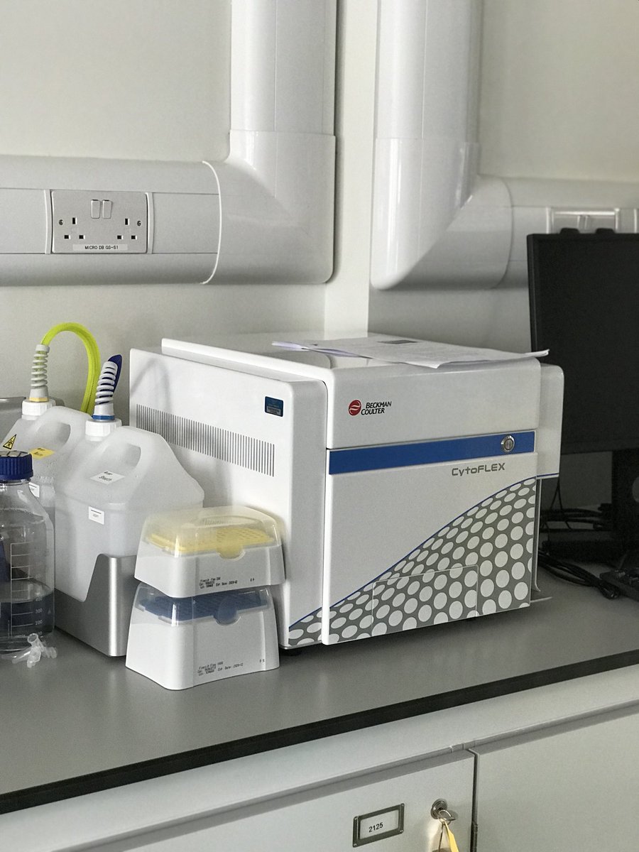 ESHIatTUDUBLIN's tweet image. State of the art laboratory equipment 🔬👩🏽‍🔬👨🏾‍🔬 #flowcytometer #realtimePCR