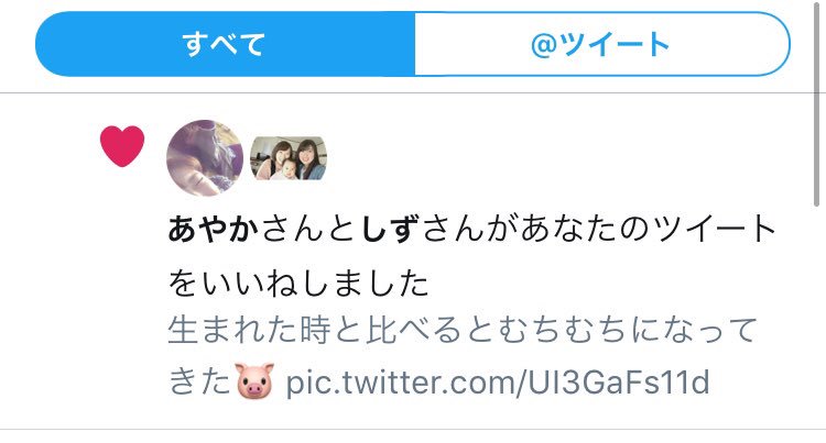 🌸 tweet media