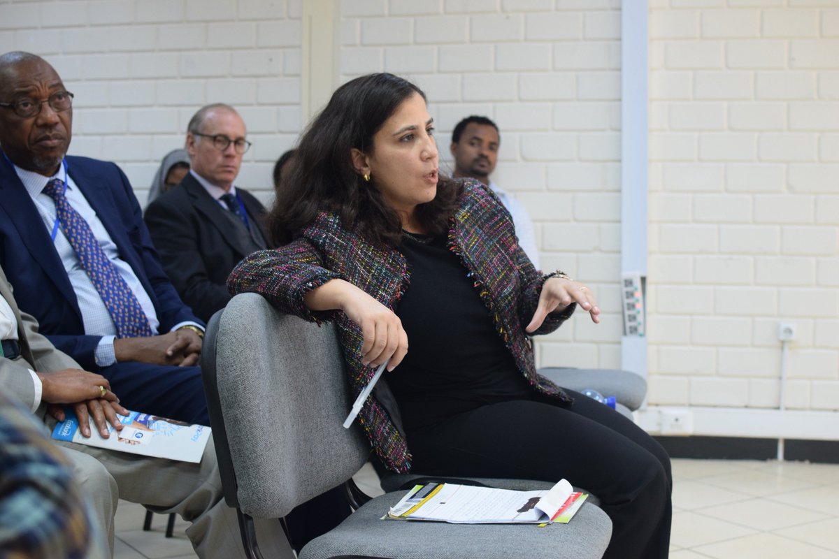 IPSS_Addis's tweet image. HAPPENING NOW: #IPSSLectureSeries engaging Q&amp;amp;A session on the #GeopoliticalDynamics in the #HornofAfrica. &quot;We are far from a multipolar reality&quot;
