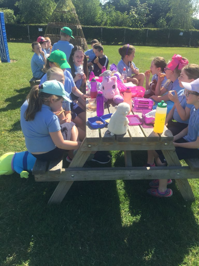 rang2slane's tweet photo. Teddy Bears 🐻 Picnic https://t.co/6QUs8qeFDk