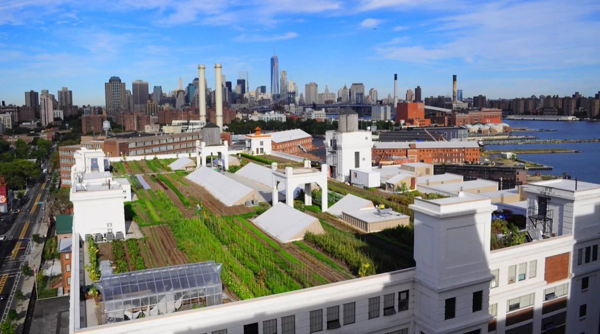 #RooftopFarming is more than a #GreenThumbs urban fantasy greenroofsaustralasia.com.au/news/rooftop-f…