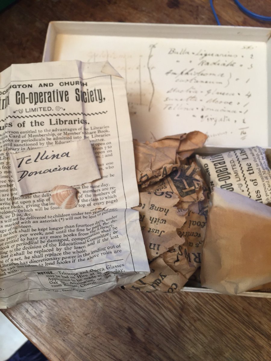 SpoonieBugKid's tweet photo. #ShellCollecting was a popular hobby in the late 19th and early 20th centuries and people used all manner of containers to store their finds. Here are two cigarette containers found in the @ColeZoology ‘s Accrington collection https://t.co/XagLP7YteI