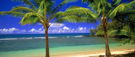 Heeft u uw BHV-organisatie nog niet geheel op orde? Gebruik dan nu de zomerperiode om uw BHV'ers op te leiden. Profiteer van onze Zomeractie: medprevent-bhv.nl/zomeractie