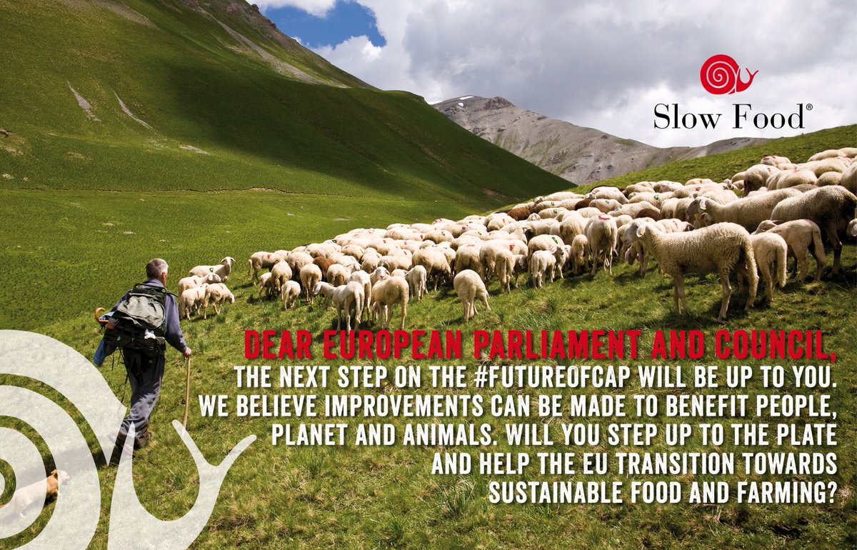 .<a href="/Europarl_EN/">European Parliament</a> .<a href="/EUCouncil/">EU Council</a> the next steps of the #FutureOfCAP are up to you: will the EU step up to the plate &amp; become a game-changer in the transition towards sustainable food systems in the EU? Read our concerns &amp; recommendations for an improved CAP here bit.ly/SlowFoodCAP