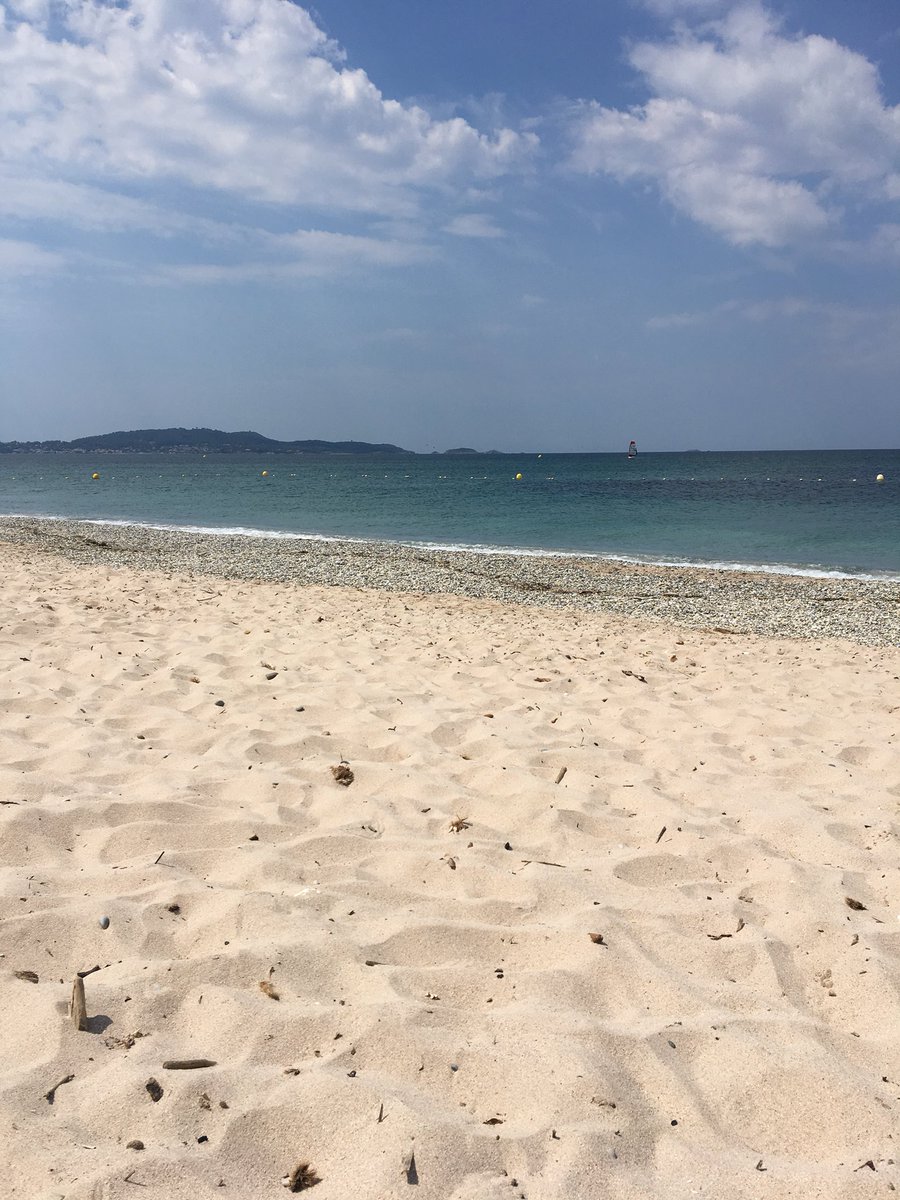 dovblad's tweet image. Till det här....