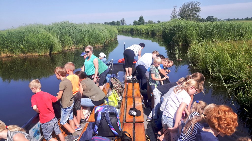 vissen en waterplanten kijken