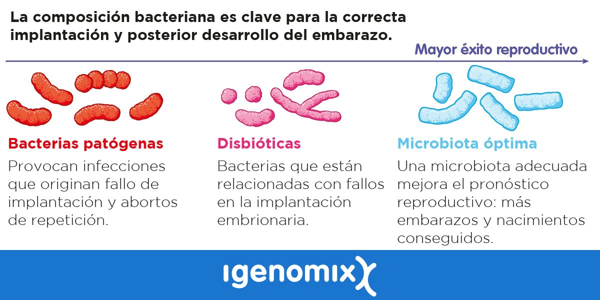 Es que endometritis cronica