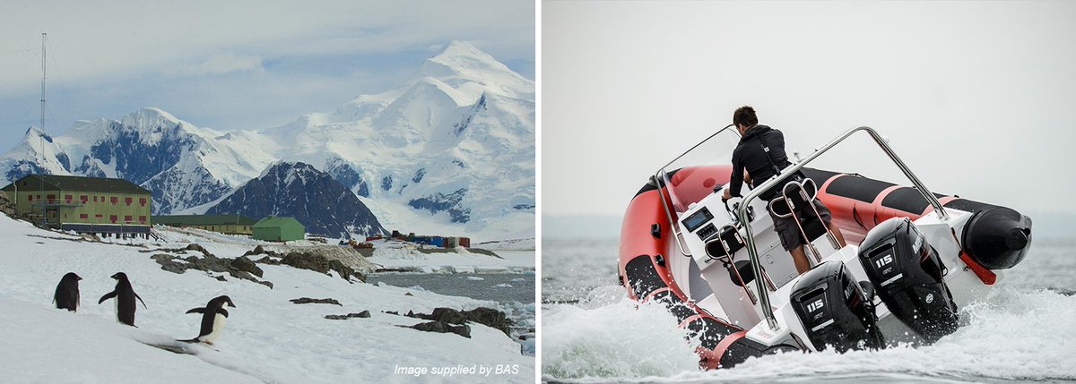 Island RIBs tweet media