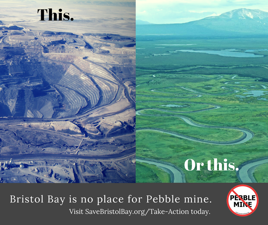 FishandFlyUSA's tweet image. Anglers want to know why the US Army Corps of Engineers is determined to advance the Pebble Mine project in Bristol Bay, when 4 major mining companies have now pulled out. Submit your official comment by June 29!    #nopebblemine   #bristolbaymeansbusiness ow.ly/iCMk30kHKB1