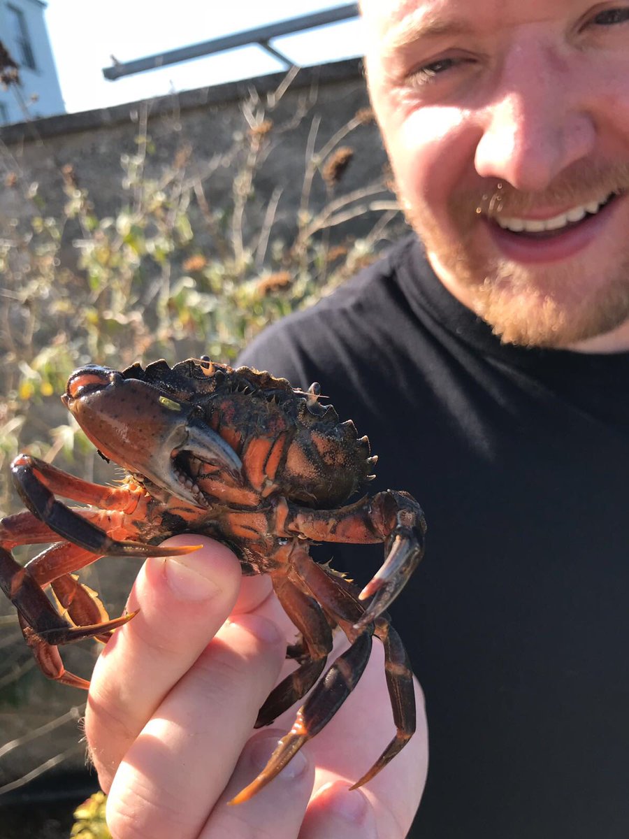 Yesterdays biggest catch! Don’t worry I put him back in the estuary.
