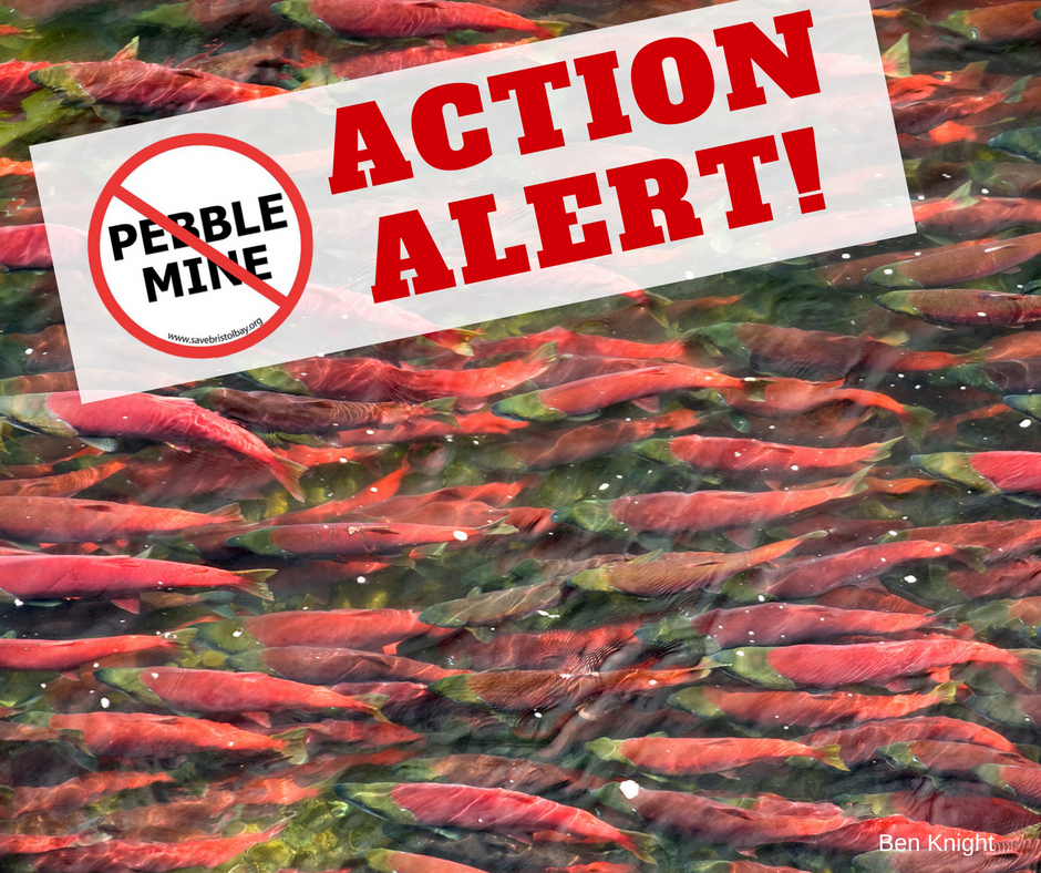 Fish and Fly Ltd tweet media