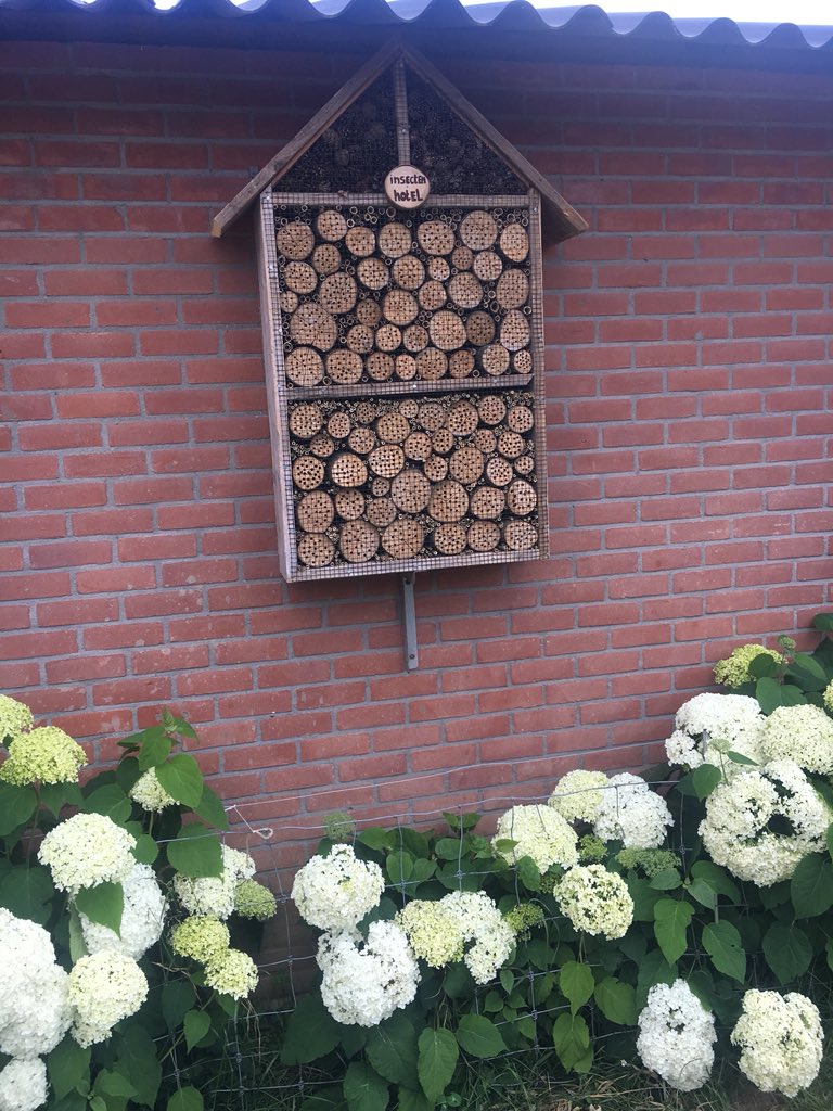mjhniessen's tweet photo. Officiële opening Psw laantje en bijenhotel door buitenploeg Psw @LandgoedBeesel  door @PSW_Werk https://t.co/89CyajabmZ