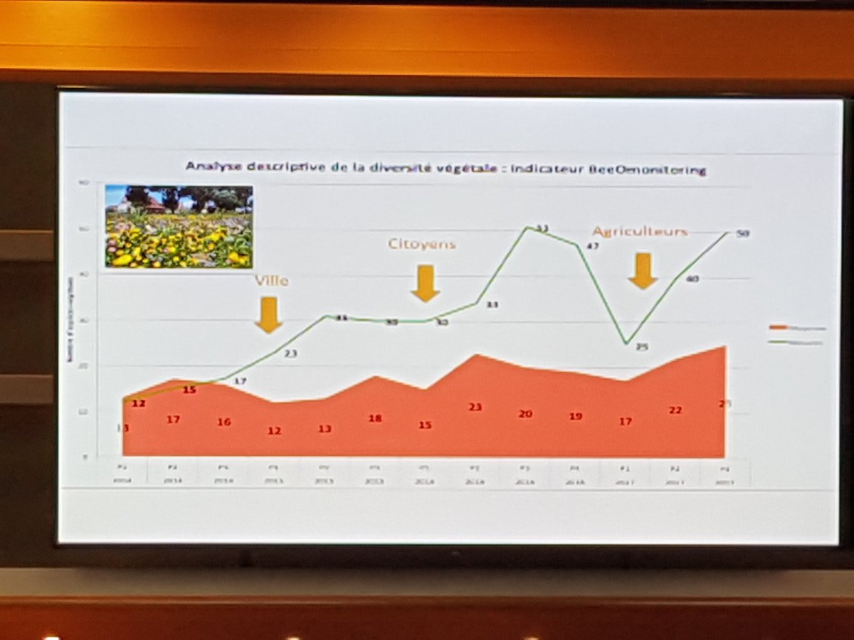Avec <a href="/BeeOdiversity/">BeeOdiversity</a> le #Beeomonitoring, ça marche ! #BeeWeek2018