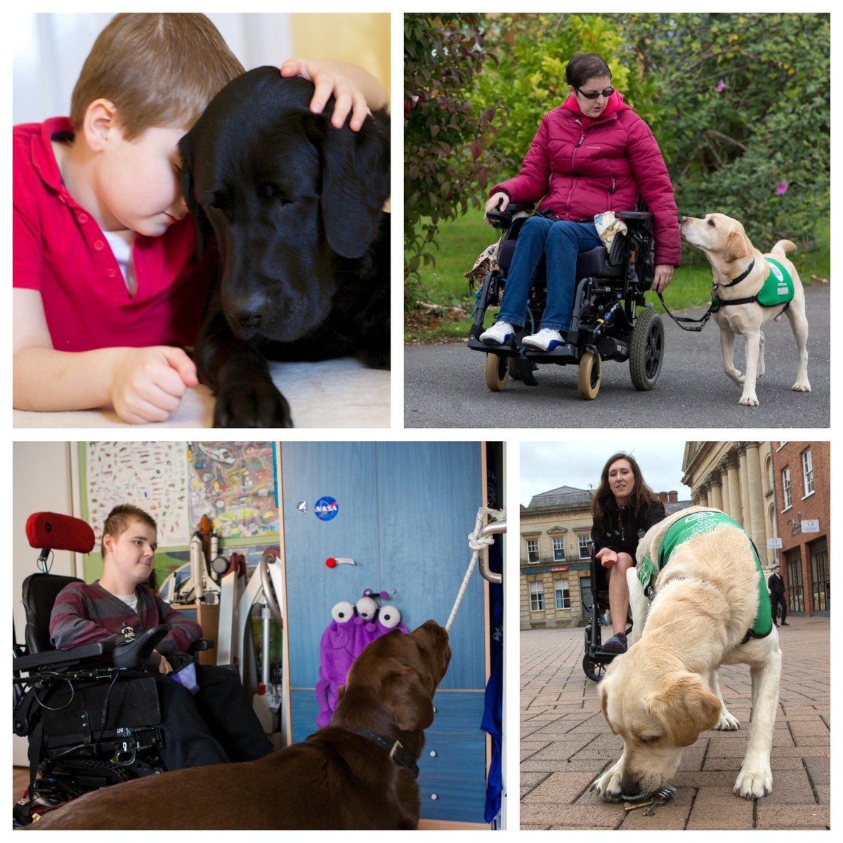 DogsForGoodUK's tweet photo. Listen again to our interview on BBC Radio Northampton to hear our Communications Manager Sarah talking about all the good that dogs can do - you might be surprised! Interview starts at 1 hour 11 mins: https://t.co/X0V3BLmFfw #dogsaregood https://t.co/d8TMbANjjl