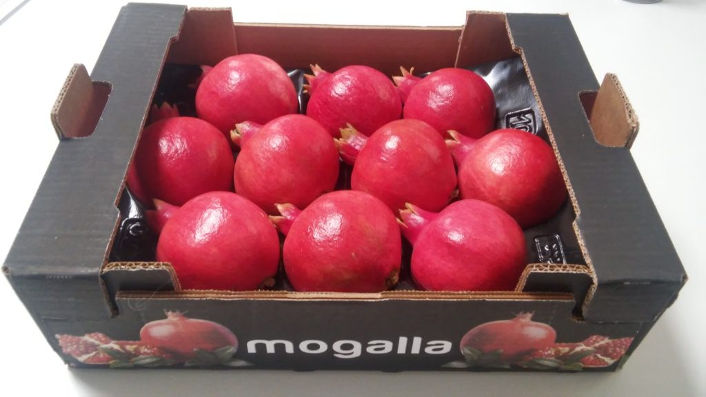 FruitAttraction's tweet photo. .@SATMogalla, empresa productora y comercializadora de #frutas y #hortalizas, cuenta con mas de 4.000 hectáreas de riego propias repartidas entre sus fincas de #Sevilla, #Huelva, #Extremadura y #Portugal. Estarán en #FruitAttraction10years. https://t.co/3AqGOTCO0E https://t.co/bQcuD8tiUZ