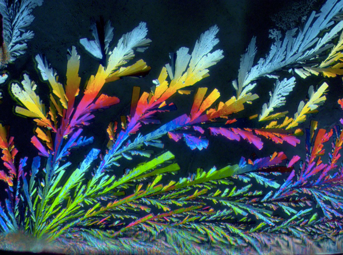 StrathImages's tweet photo. Monika Warzecha’s 2017 competition-winning entry which now graces the cover of this year’s brochure; so if you missed the exhibition, download it here: https://t.co/Gk9SMDV324 #Images2018 #ThrowbackThursday https://t.co/uBTGvGpCsl