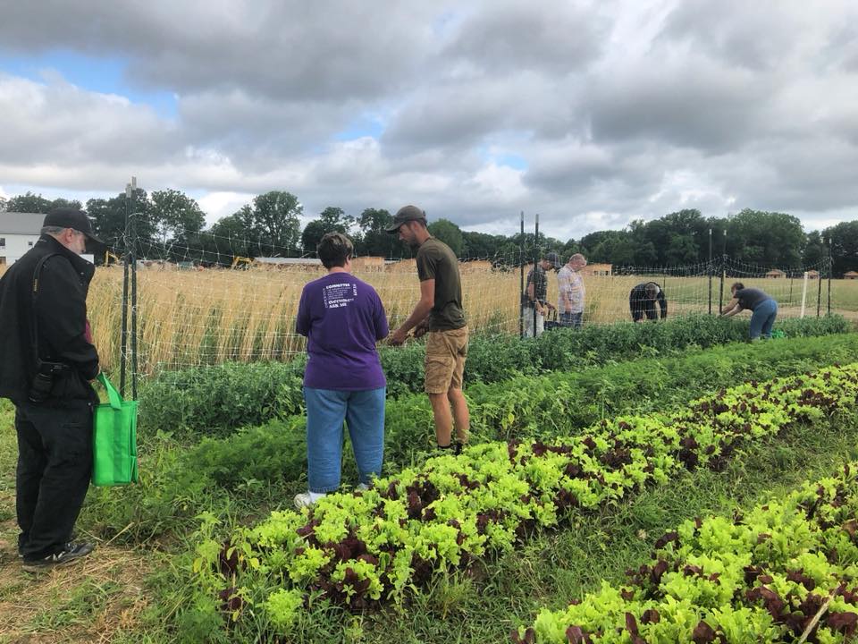Pick Your Veggies @ Bellwether Farm - mailchi.mp/b339d873ac44/p…