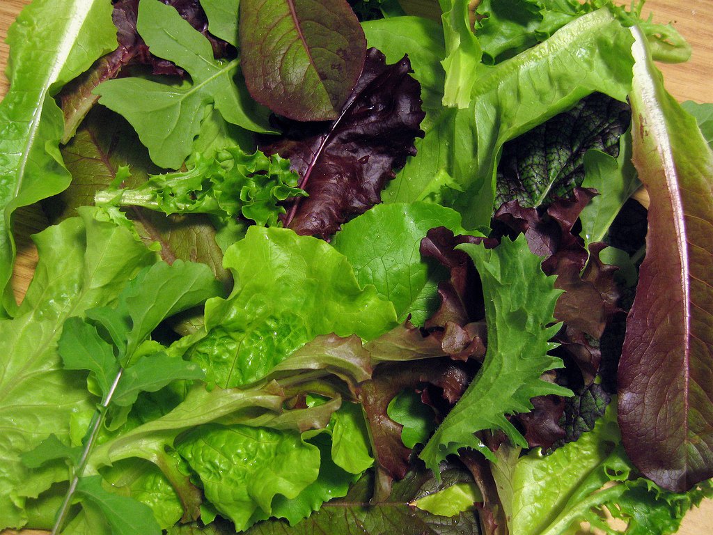 shillorganics1's tweet photo. Have you visited our stall at @Exeterfarmarket today? our produce is selling like hotcakes! but a healthier option is available! 🤣still have #spinach #freshturmeric, #kohlrabli (lovely grated into a salad) #blackcurrants, loose #salad, #lettuce .... Do say hi to Martin &amp; Drew 💚 https://t.co/9ERxKm7O5M