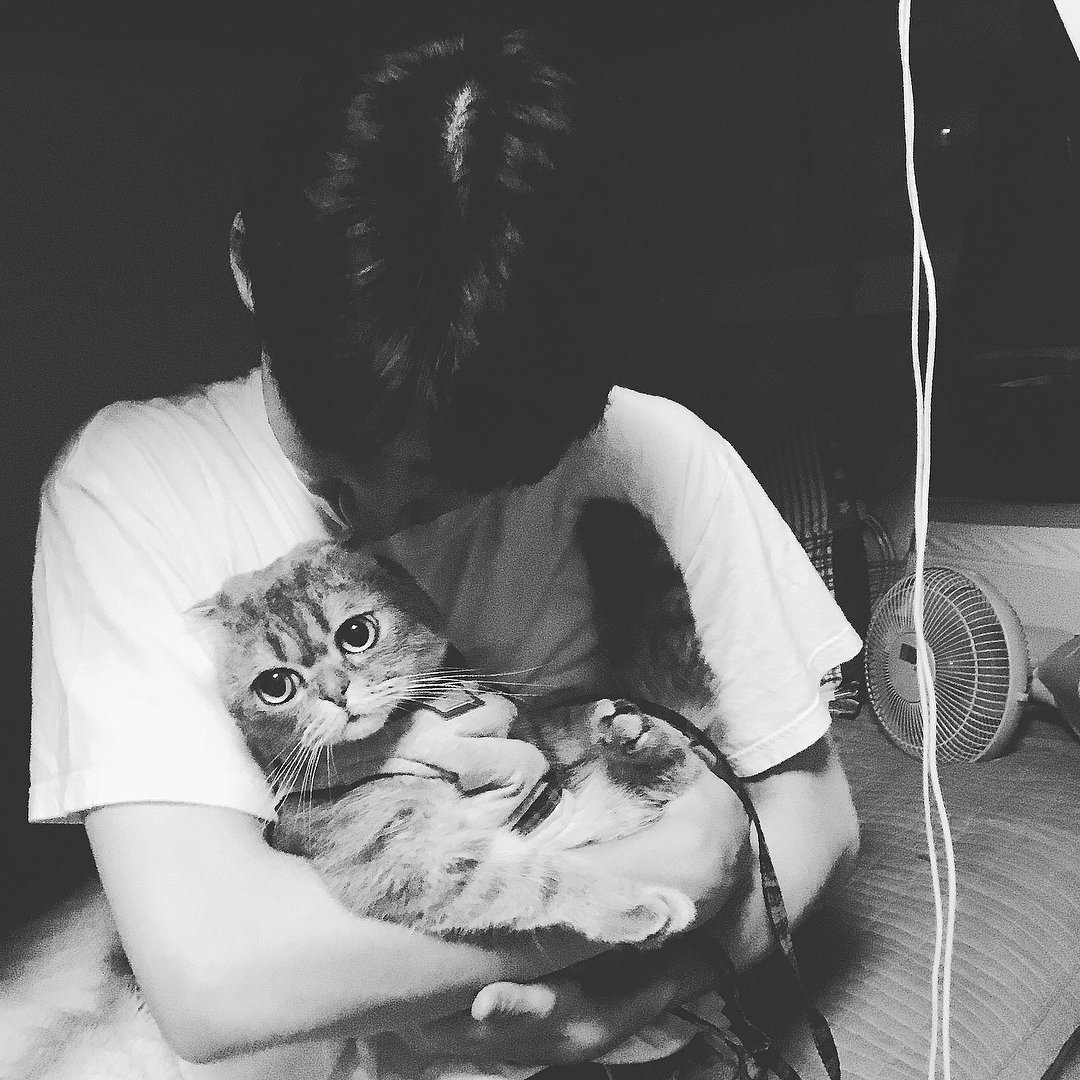TRCNG_Turkey's tweet photo. •260618• TRCNG IG Güncellemesi #HYUNWOO 

Ddung* ile 👢😻 Yağmur yağdığından dikkatli olun ve incinmeyin🌧️!! ❤️❤️ https://t.co/VQojHm0ZTT