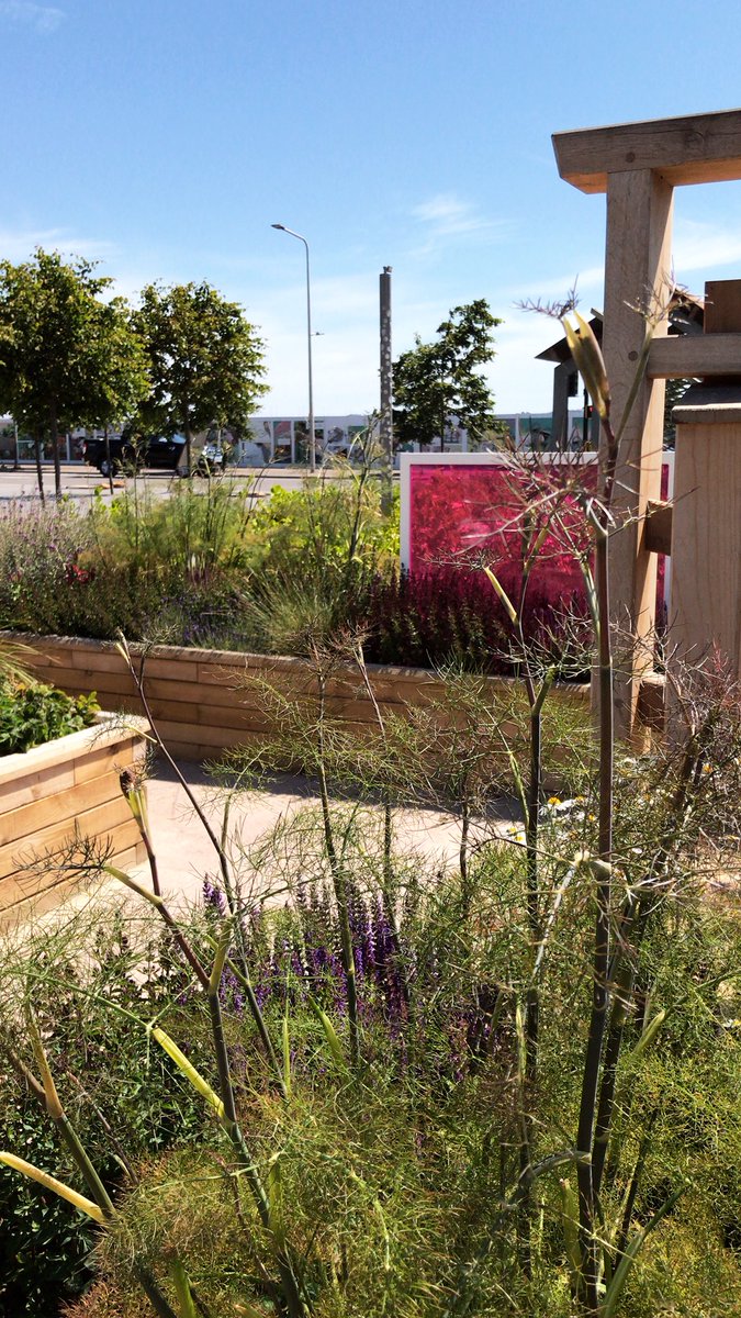 Take your #Tailend out and enjoy this beaut weather ☀️🍴All our delicious goodies are available to take away 🌴🥗🍤 #lovetailend #sunnydundee #dundee2018 #bonnydundee #sun #heatwave #takeaway #lunchtime #delish #local #foodies #dundeefoodies #tailenddoesitbetter #dd1