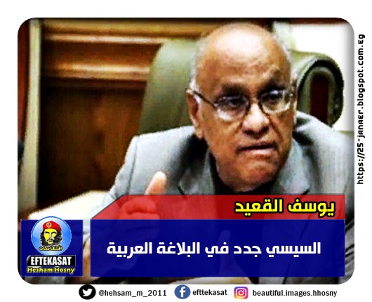 يوسف القعيد: السيسي جدد في البلاغة العربية