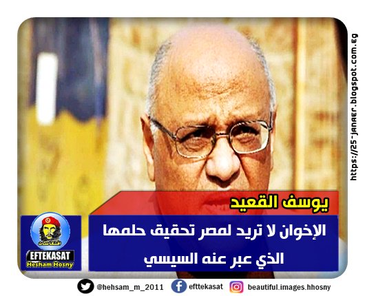 يوسف القعيد: الإخوان لا تريد لمصر تحقيق حلمها الذي عبر عنه السيسي