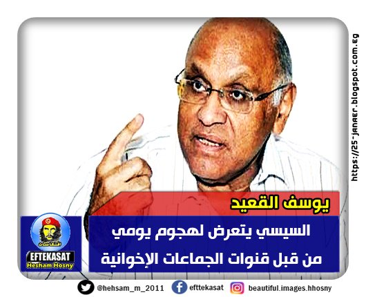 يوسف القعيد: السيسي يتعرض لهجوم يومي من قبل قنوات الجماعات الإخوانية